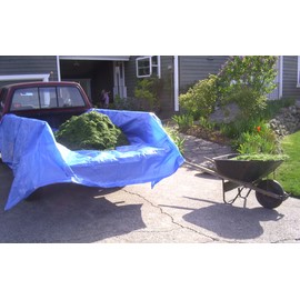 8x10 Multi-Purpose Blue Economy Poly Tarp (8'x10')