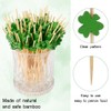 St Patricks Themed Party Decoration Supplies Toothpicks for Appetizers 100
