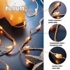 hellum Micro-Lichterkette, 100 transparente Filament Lichter, warm, 220V strombetrieben, innen