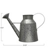Creative Co-Op Galvanized Metal Watering Can, Silver