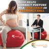 SmarterLife Exercise Ball Yoga Ball for Fitness, Balance, Stability, or