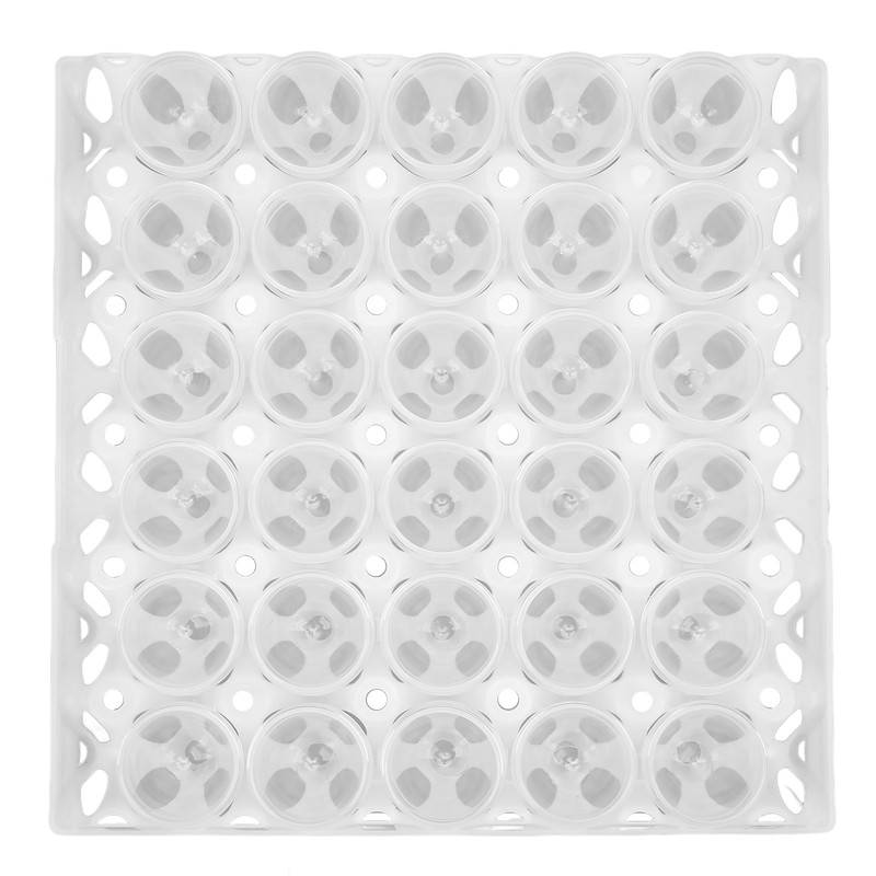 Eggshell and Egg Tray Model Safe Prevent Leakage Eggs Making
