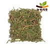측백엽 300g 국산 300g Domestic Thuja Leaf