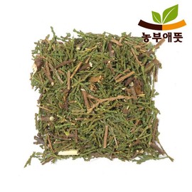 측백엽 300g 국산 300g Domestic Thuja Leaf
