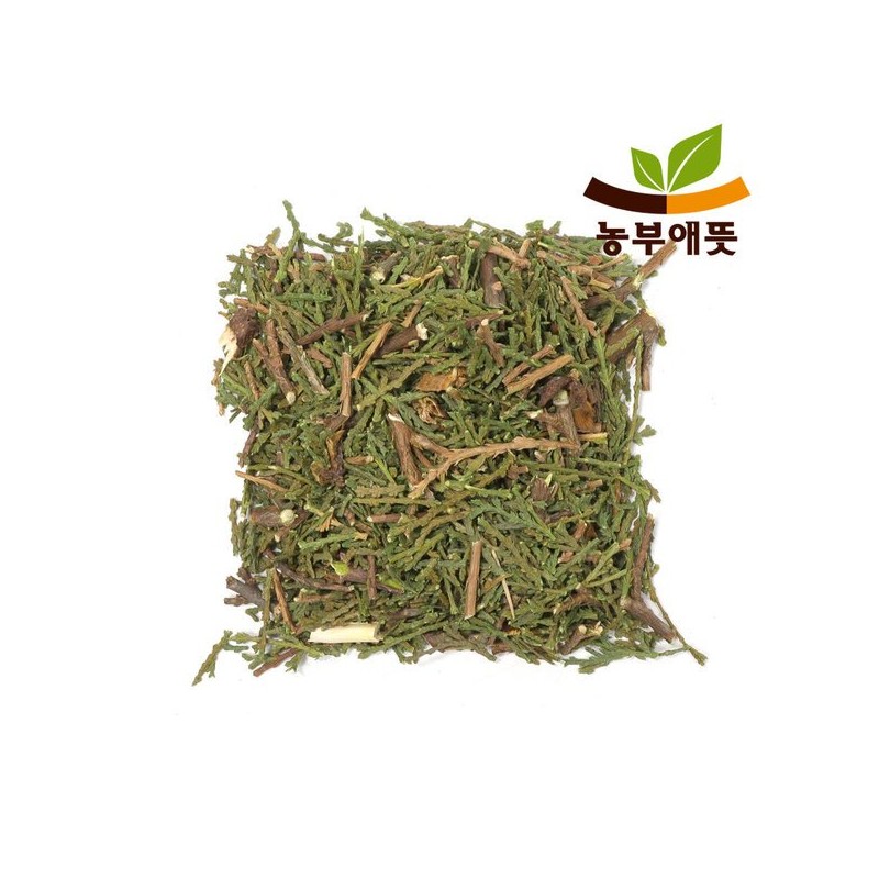 측백엽 300g 국산 300g Domestic Thuja Leaf