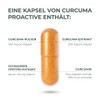 Primal Harvest® Curcuma Proactiv - 60 Curcuma Capsules - Curcuma