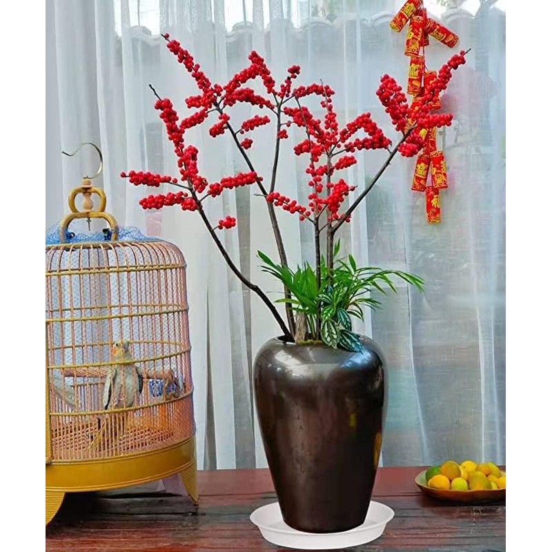 Bleuhome 6 Pack Plant Saucer 4 5 inch (4 inch