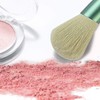SJBAUTYO 13 Piece Make Up Brush Set, Professional Makeup Brushes,