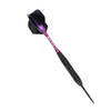 Darts Metal Tip Set Professional Darts with Stylish Case Steel