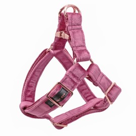 ARING PET Dog Harness, Velvet, Elegant, Safe and No Choke Design, XS, Rose Red