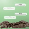 MATTER SMART NUTRIENTS | UP |Extractos Herbolarios con Vitamina C,