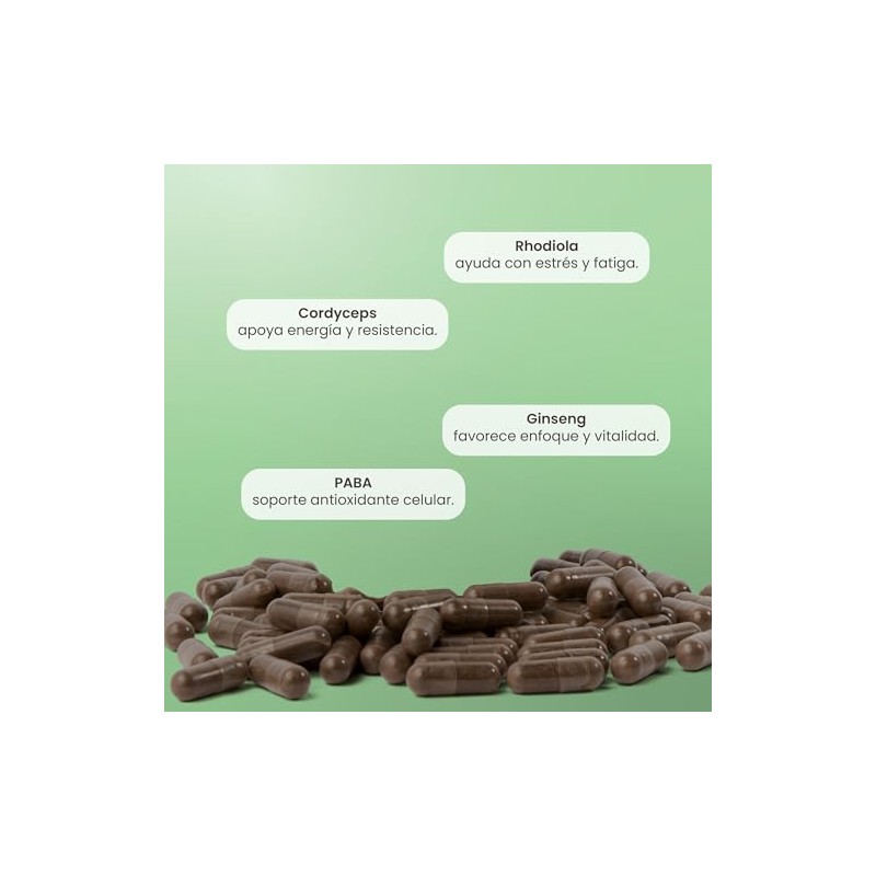 MATTER SMART NUTRIENTS | UP |Extractos Herbolarios con Vitamina C,