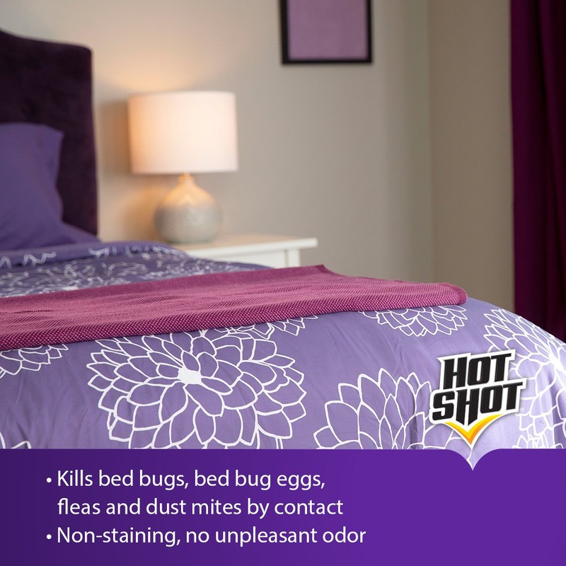 Hot Shot Bed Bug Killer With Egg Kill Ready-to-Use, 1