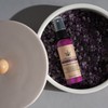 Cannabolish Lavender Odor Removing Spray and Air Freshener, 2 fl.