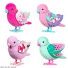 Little Live Pets LIGHT UP SONGBIRDS S9- Styles vary