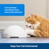 PetSafe Fox Den Automatic Interactive Cat Toy,White