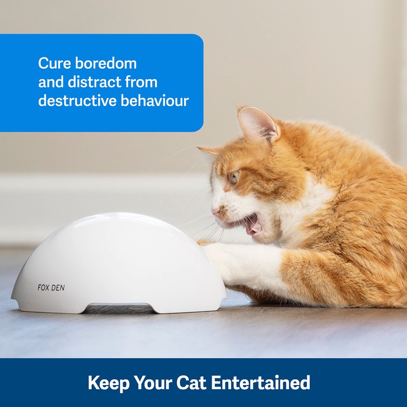 PetSafe Fox Den Automatic Interactive Cat Toy,White