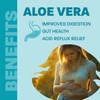 Pure & Certified Organic Land Art Aloe Vera Capsules –