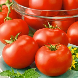 Red Horizon Tomato Seeds - 300 Mg Packet ~65 Seeds - Non-GMO, Heirloom - Vegetable Garden - Solanum lycopersicum