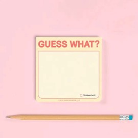 Knock Knock Guess What? Sticky Notes