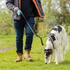Bunty Retractable Dog Lead - Instant Lock System, Stainless Steel