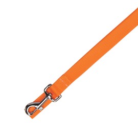 Zack & Zoey Basic Nylon Dog Leash, 4-Feet x 5/8-Inch Lead, Orange