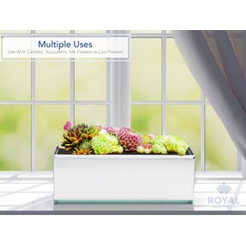 Royal Imports Flower Glass Vase Decorative Centerpiece for Home or Wedding Oblong Rectangle Shape, 12" Long, 4" Hx4 W Opening, Clear