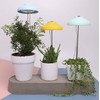 Northpoint LED 7 W Plant Light Plant Lamp Plant Lighting