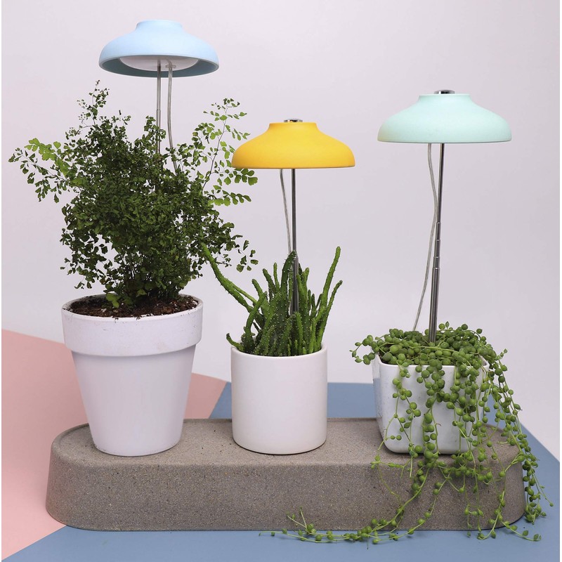Northpoint LED 7 W Plant Light Plant Lamp Plant Lighting