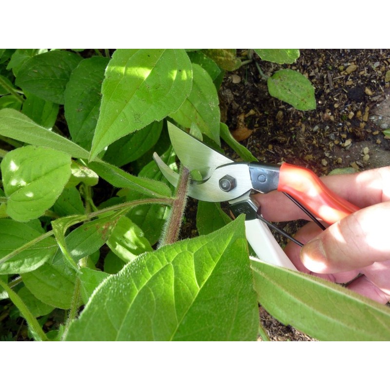 Okatsune No. 101 Pruning Shears 7.1 inches (180 mm)