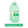 Sane Shampoo Bergamota Natural Sane Crecimiento De Cabello 4 Lt