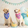 EXPAWLORER Dog Birthday Bandana - 4 Pack Party Supplies Dog