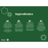 Bloom Greens Variety Pack Con Fibra Y Probióticos 15 Sachets