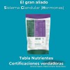 Espirulina + Lecitina De Soya 2 Bolsas De 200grs C/u