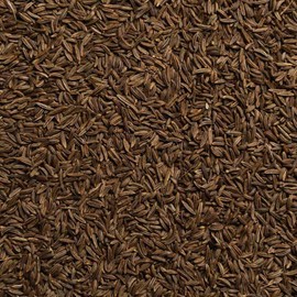 Biotiva Caraway Whole Organic 250g - 100% Organic Premium Quality - Tea or Compress - Intensive Odor and Taste - Packed and Controlled in Germany (DE-ECO-005)