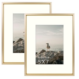 Mat Board Center, 8x10 Aluminum Picture Frame - Displays 5x7 with Mat and 8x10 Without Mat - Horizontal and Vertical for Tabletop Wall Mounting Metal Photo Frame (Gold, 2-Pack)
