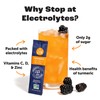 ZYN Electrolyte Drink Mix Hydration Packets, BlackBerry Dragonfruit Electrolytes Powder,