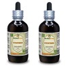 Gynostemma (Gynostemma Pentaphyllum) Tincture, Organic Dried Leaves Liquid Extract (Brand