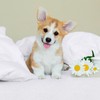 Utopia Bedding 100% Waterproof Mattress Protector, Breathable, Hypoallergenic Mattress Topper