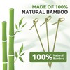 200PCS Cocktail Picks Bamboo Skewers for Appetizers, Fancy Toothpicks for