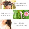 Nature's Four Scalp & Hair Care Mini Set, No Additives,