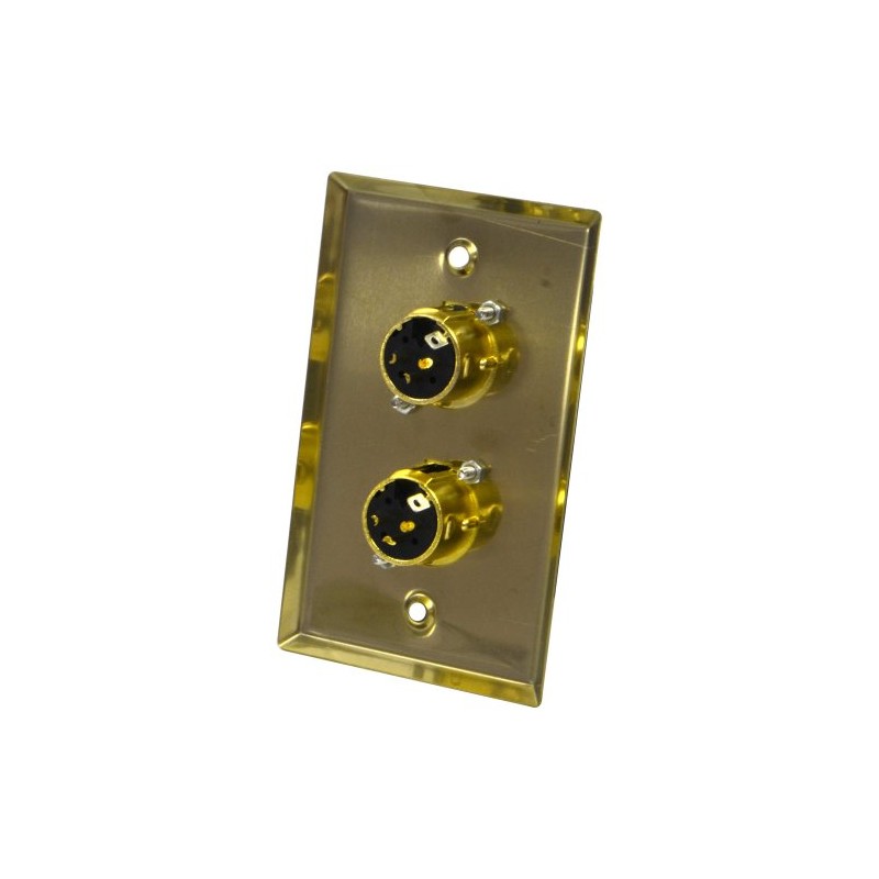 Seismic Audio SA-PLATE18 Gold Stainless Steel Wall Plate with Dual