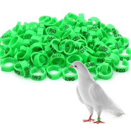 Andiker Pack of 100 Pigeon Rings, 8 mm Bird Leg with Plastic Rings, Identification Rings for Birds, Parrots, Pigeons, Quails and Young Birds (Green)