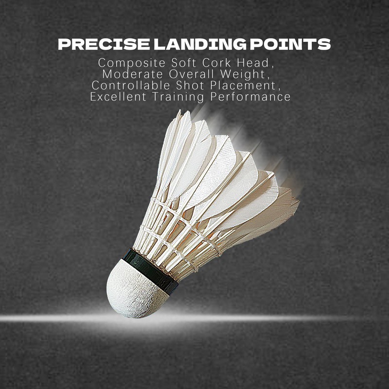 SPPHONEIX 3/6-Pack Mixed Badminton Shuttlecocks – Durable Birdies for Training
