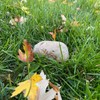 Hide-a-Spare-Key Fake Rock - Looks & Feels Like Real Stone