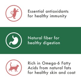 NUTRO WHOLESOME ESSENTIALS Adult Natural Dry Cat Food Salmon & Brown Rice Recipe, 14 lb. Bag