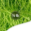 FRILLZ Skinny-Cut Shredded Paper for Gifts & Easter Baskets -
