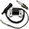 TSYCWQ 196CC 212CC Ignition Coil Pack & Spark Plug Replaces