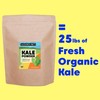 Wilderness Poets, Organic Kale Powder (160 Ounce - 10 Pound)