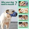 Dog Muzzle Soft Mesh Muzzle for Pets with Adjustable Drinking